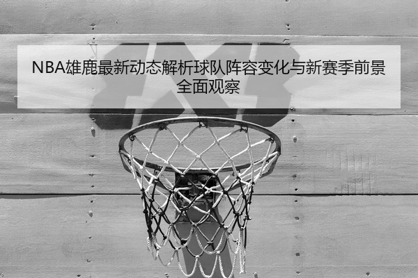 NBA雄鹿最新动态解析球队阵容变化与新赛季前景全面观察