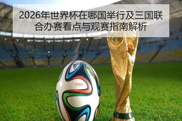 2026年世界杯在哪国举行及三国联合办赛看点与观赛指南解析
