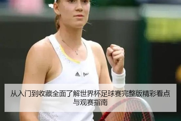 从入门到收藏全面了解世界杯足球赛完整版精彩看点与观赛指南