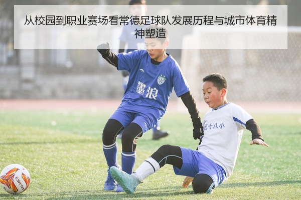 从校园到职业赛场看常德足球队发展历程与城市体育精神塑造