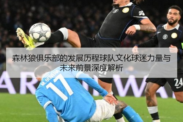 森林狼俱乐部的发展历程球队文化球迷力量与未来前景深度解析