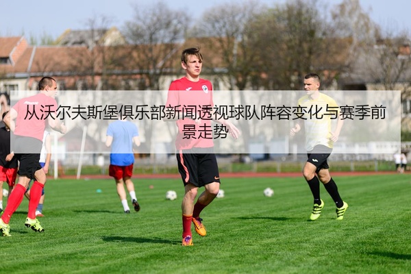 从沃尔夫斯堡俱乐部新闻透视球队阵容变化与赛季前景走势